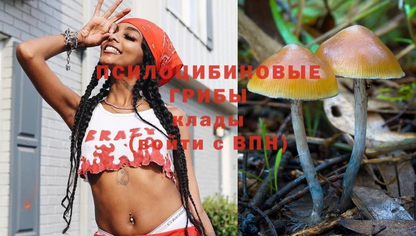 герыч Богородск